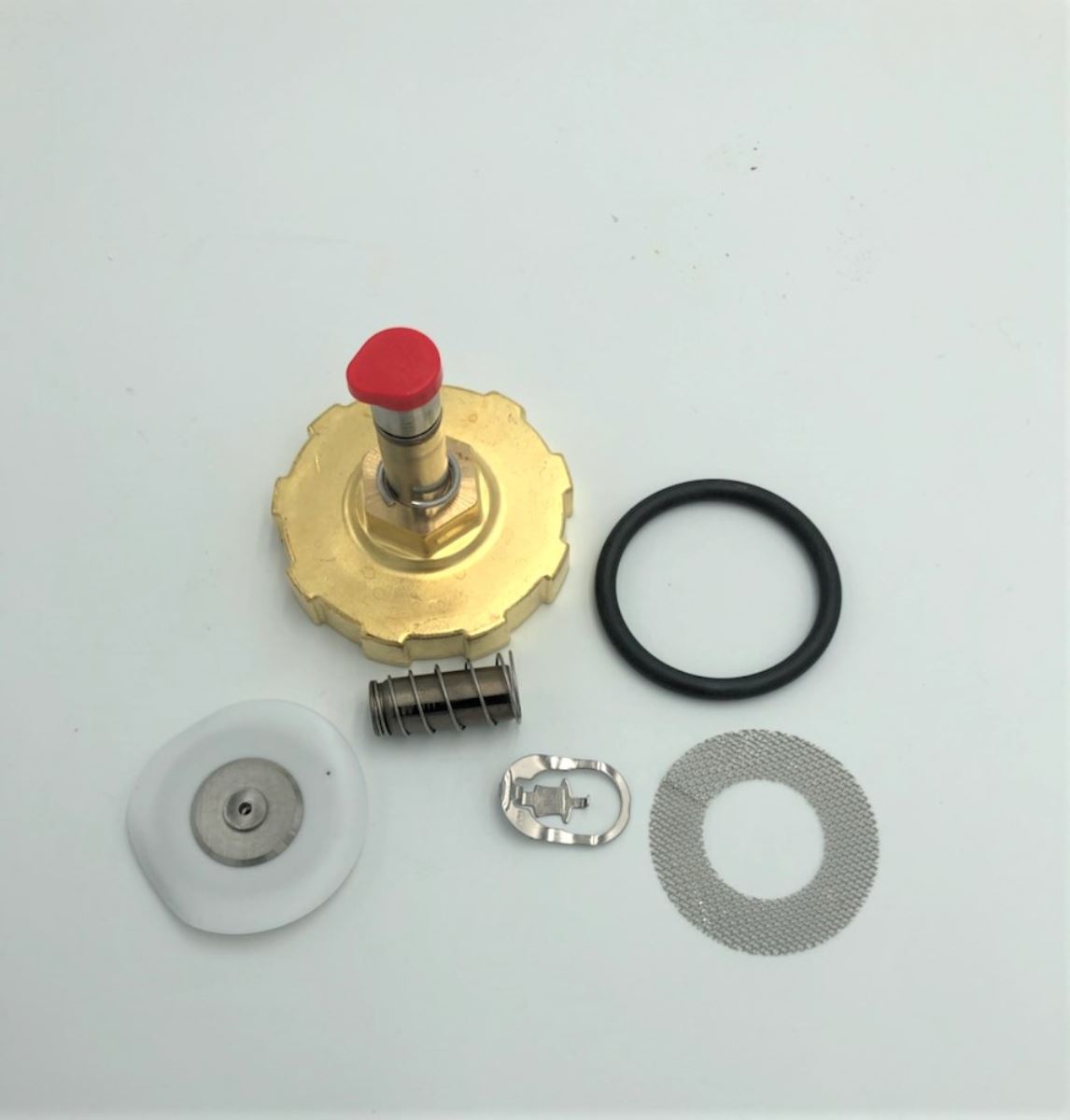 Repair Kit 3/4 Asco Steam Valve | 323471